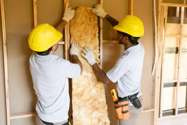 Best Spray Foam Insulation  in Rosharon, TX