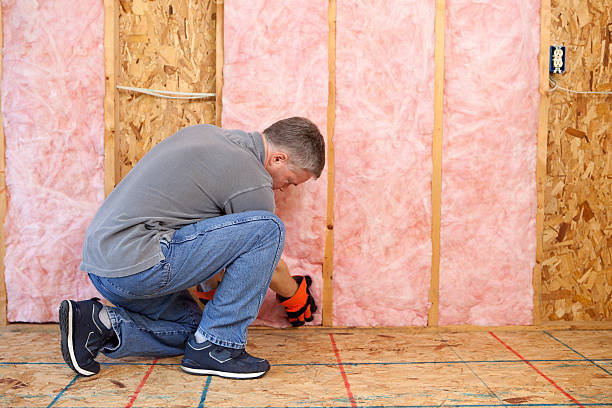 Best Fireproof Insulation  in Rosharon, TX