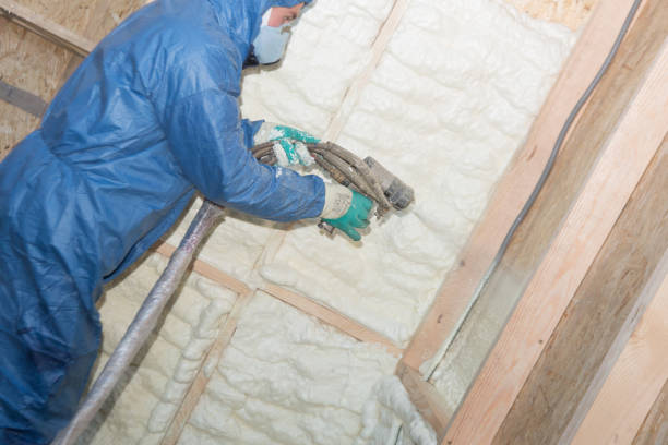 Best Garage Insulation  in Rosharon, TX